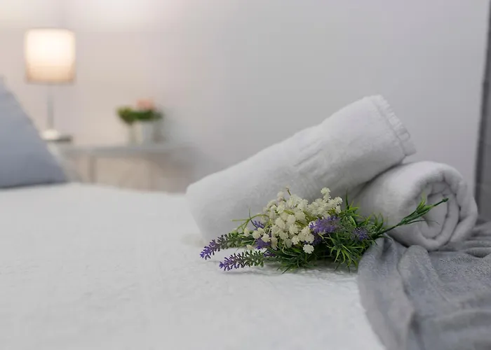 Apartment Plaza Caballo 3 Vistas Jerez de la Frontera