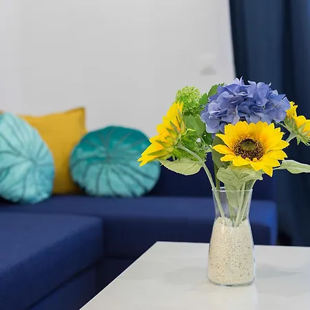 Plaza Caballo 3 Vistas * Jerez de la Frontera